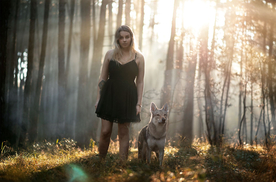 动物 宠物 狗 猫