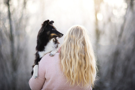 动物 宠物 狗 猫