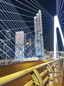 武汉月湖桥夜景