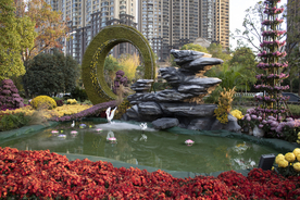 武汉沙湖公园菊展