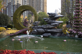 武汉沙湖公园菊展