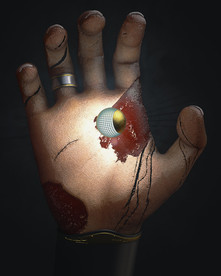 C4D 模型 手