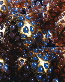 C4D 模型 细胞细菌生物病毒
