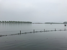 西湖水面