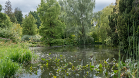 自然风光