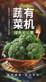 有机蔬菜食材宣传活动海报素材