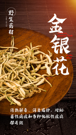 金银花饮品宣传活动海报素材