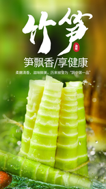 竹笋食材宣传活动海报素材