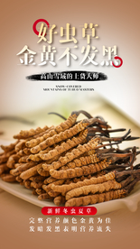 虫草养生宣传活动海报素材