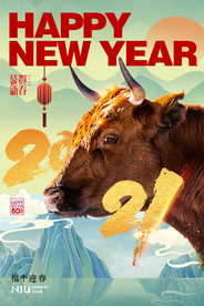 新年春节节日活动宣传海报素材