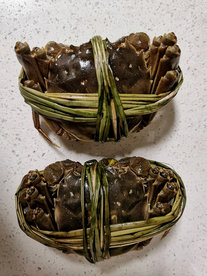 大闸蟹