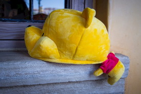 迪士尼 日本 东京 维尼熊