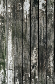 木头纹理 木纹 肌理 地板