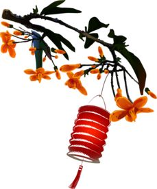 中国风灯笼梅花元素PNG