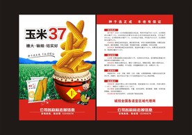 玉米单页