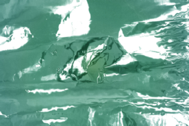 高级熟料金属锡纸样机