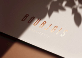 logo样机   logo品牌