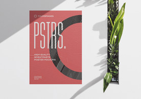 海报单张样机  海报样机设计