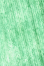 绿色背景 纹理 底纹