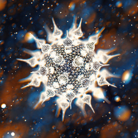 C4D 模型病毒细菌