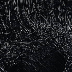 C4D 模型一团电线