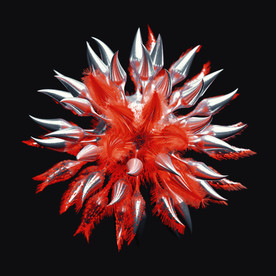 C4D 模型病毒细菌