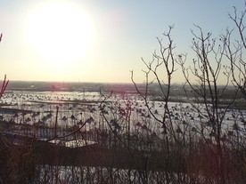 阳光下雪白世界