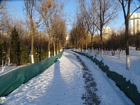 公园小路上的雪景
