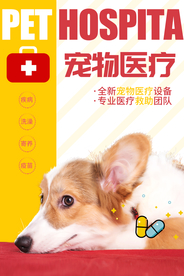 宠物医疗活动宣传海报素材