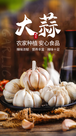 大蒜食材活动宣传海报素材