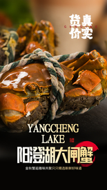 大闸蟹美食食材活动宣传海报素材