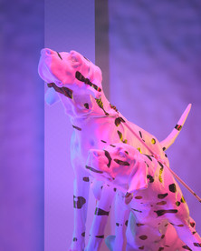 C4D 模型斑点狗