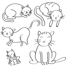 猫