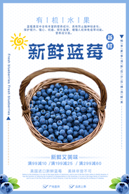 新鲜蓝莓促销活动宣传海报素材