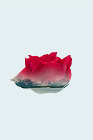 挂画画芯