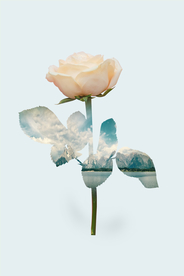 挂画画芯