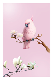 挂画画芯