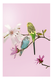 挂画画芯