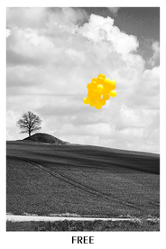 挂画画芯