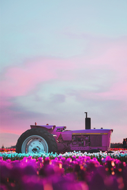 挂画画芯