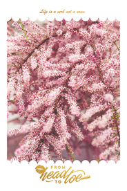 挂画画芯