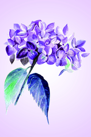 挂画画芯