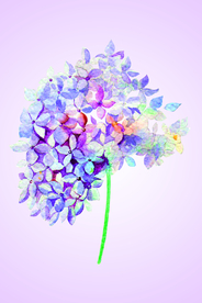 挂画画芯