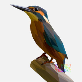 背景图素材鸟图片低面模版矢量