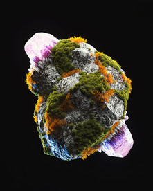 C4D 模型 长满植物的心脏