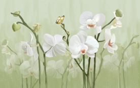挂画画芯