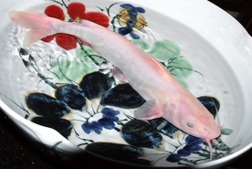 海鲜