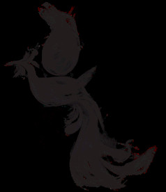 中国风金色龙元素