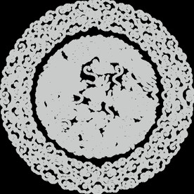 中国风金色龙元素