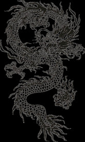 中国风金色龙元素